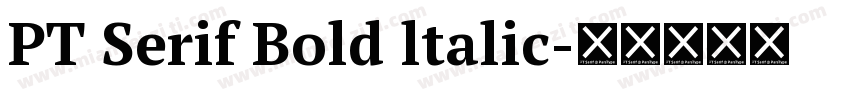 PT Serif Bold ltalic字体转换